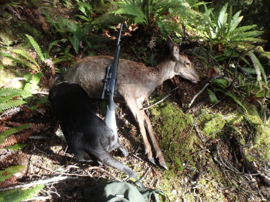 The last few meat foraging engagements